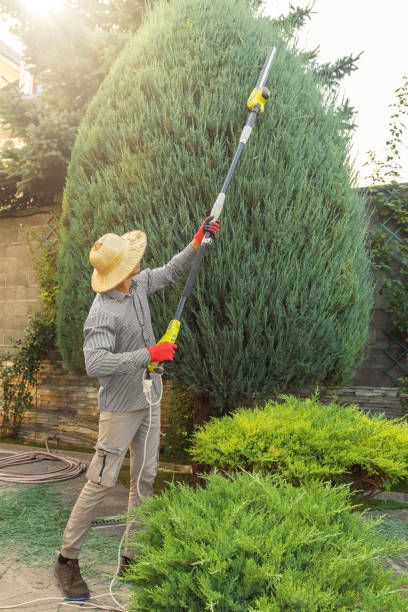 Best Soil Testing and Treatment  in Seven Points, TX